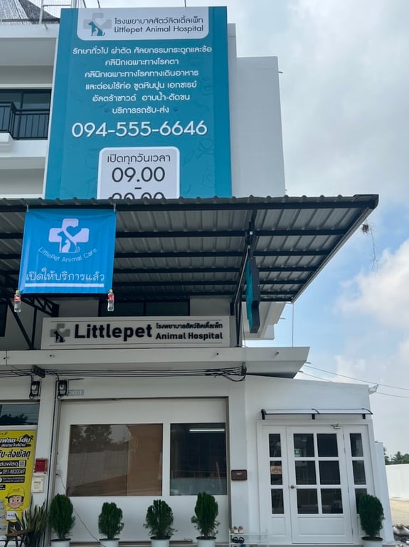 โรงพยาบาลสัตว์ลิตเติ้ลเพ็ท Littlepet Animal Hospital