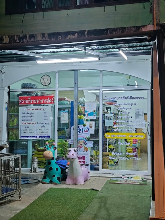 โรงพยาบาลสัตว์เมืองตราด