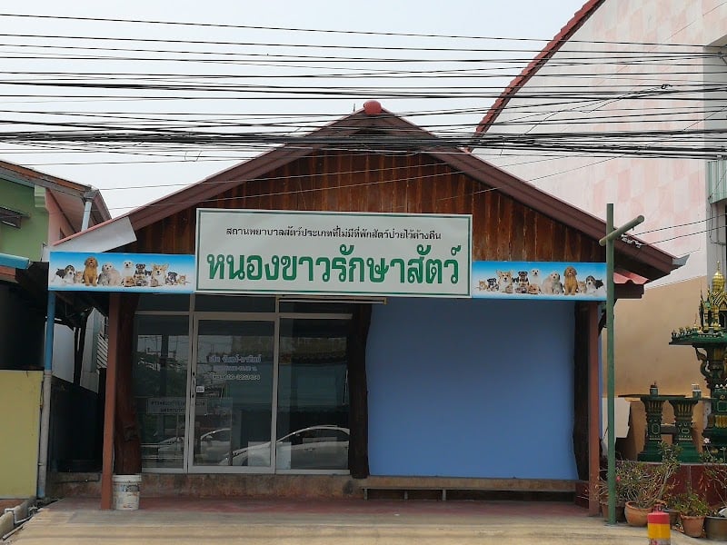 หนองขาวรักษาสัตว์