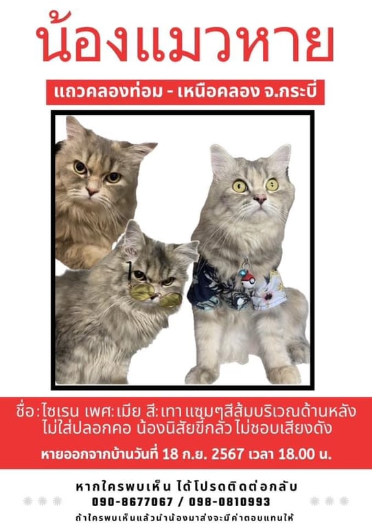 ไซเรน