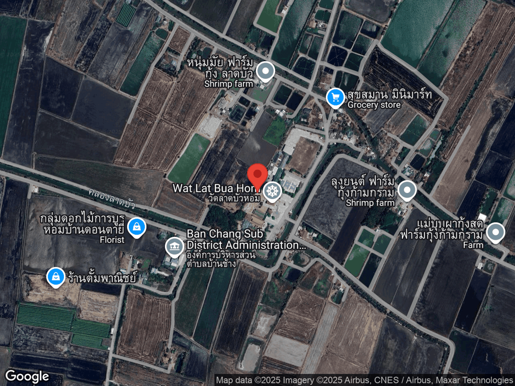 สถานที่หายของฟอร์จูน