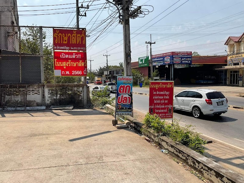 โนนสูงรักษาสัตว์