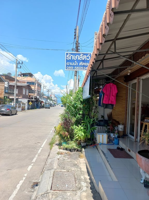 ศูนย์สุขภาพสัตว์เลี้ยงพะเยา(หมอไก่)