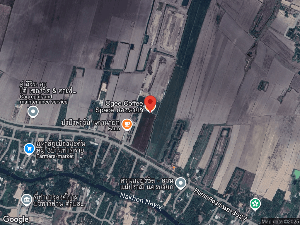 สถานที่หายของนะโม