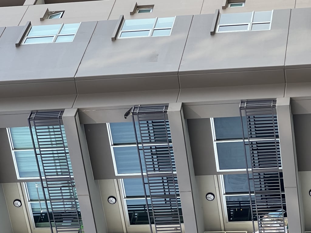 ตามหาเจ้าของนก ปลอกขามี ไม่มี ไม่ทราบมองไม่เห็น