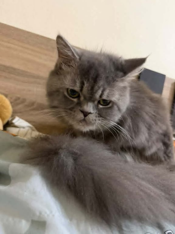 ลักกี้