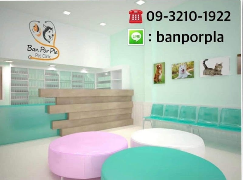 คลินิกบ้าน ป.ปลา รักษาสัตว์