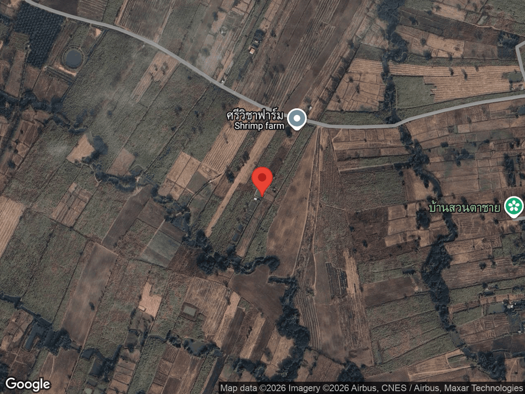 สถานที่หายของแซมมี่