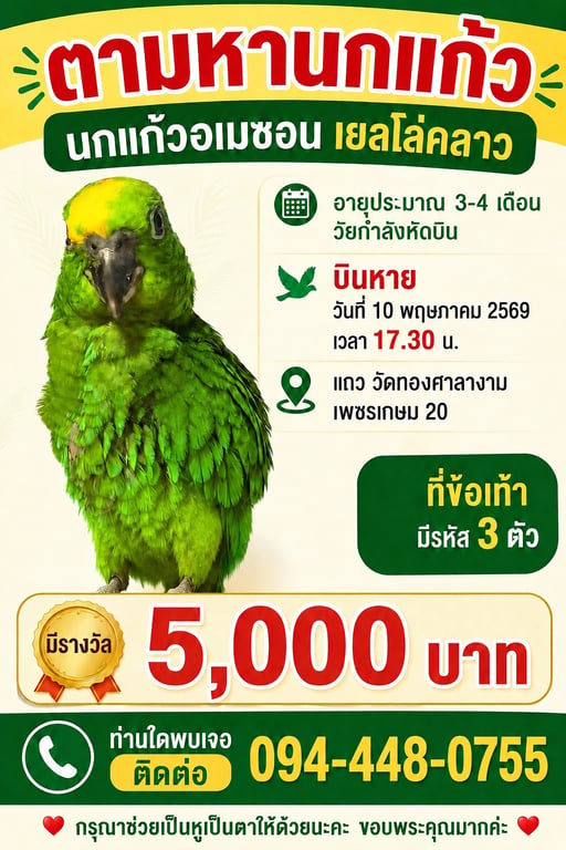 ตาโต
