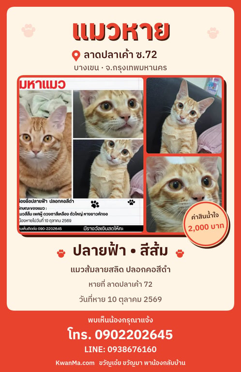 ปลายฟ้า