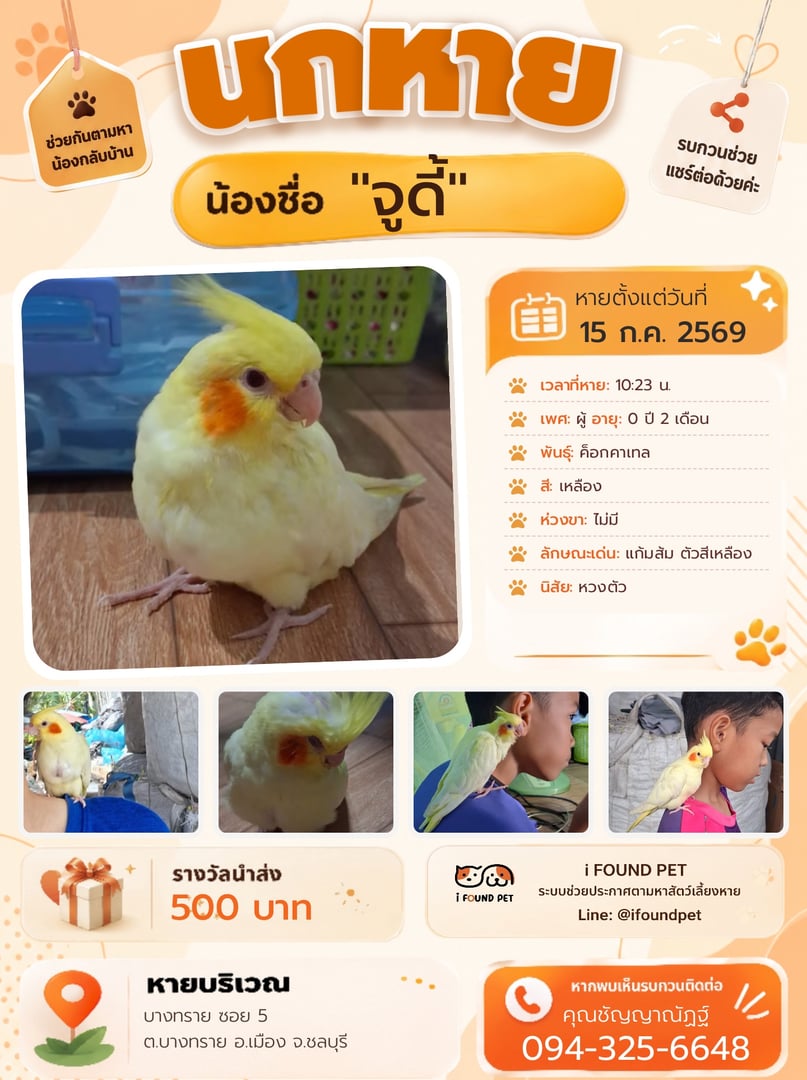 จูดี้