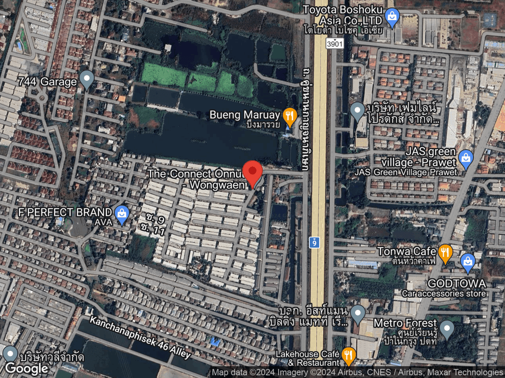 สถานที่หายของเต้าเจี้ยว