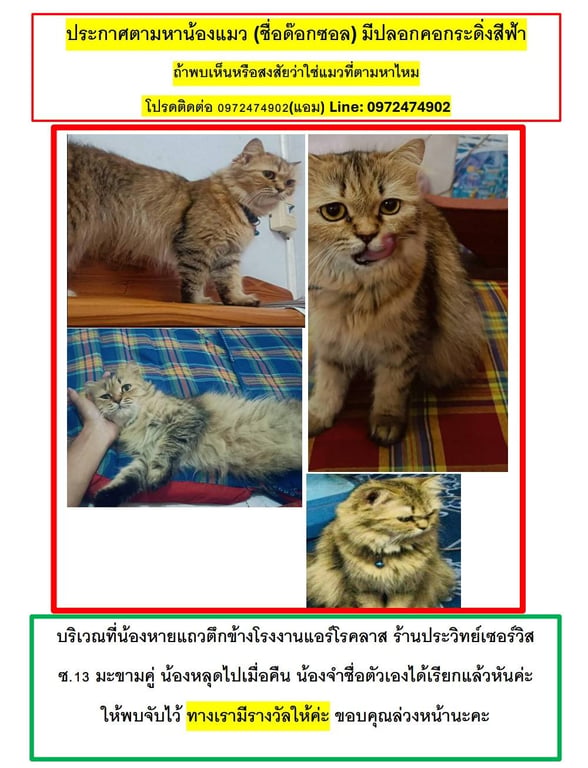 ด๊อกซอล