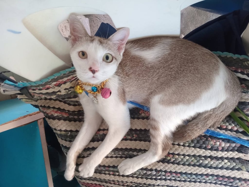 มั่งมี