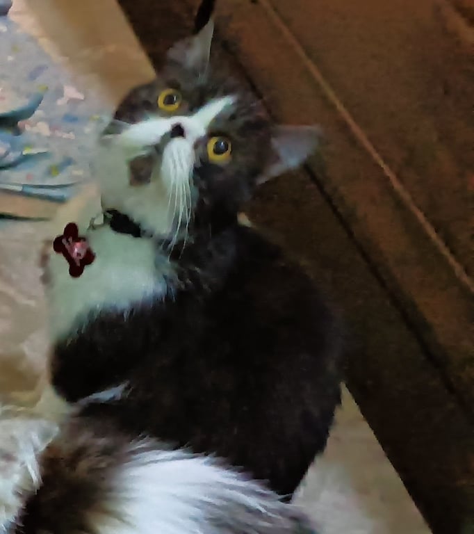 มีตังค์
