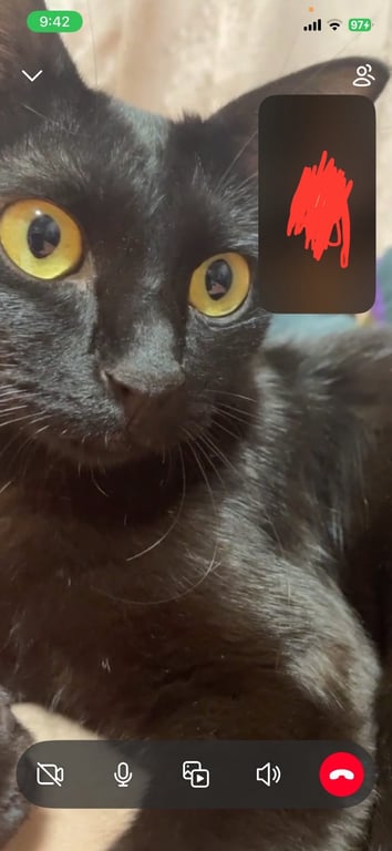ซูซี่