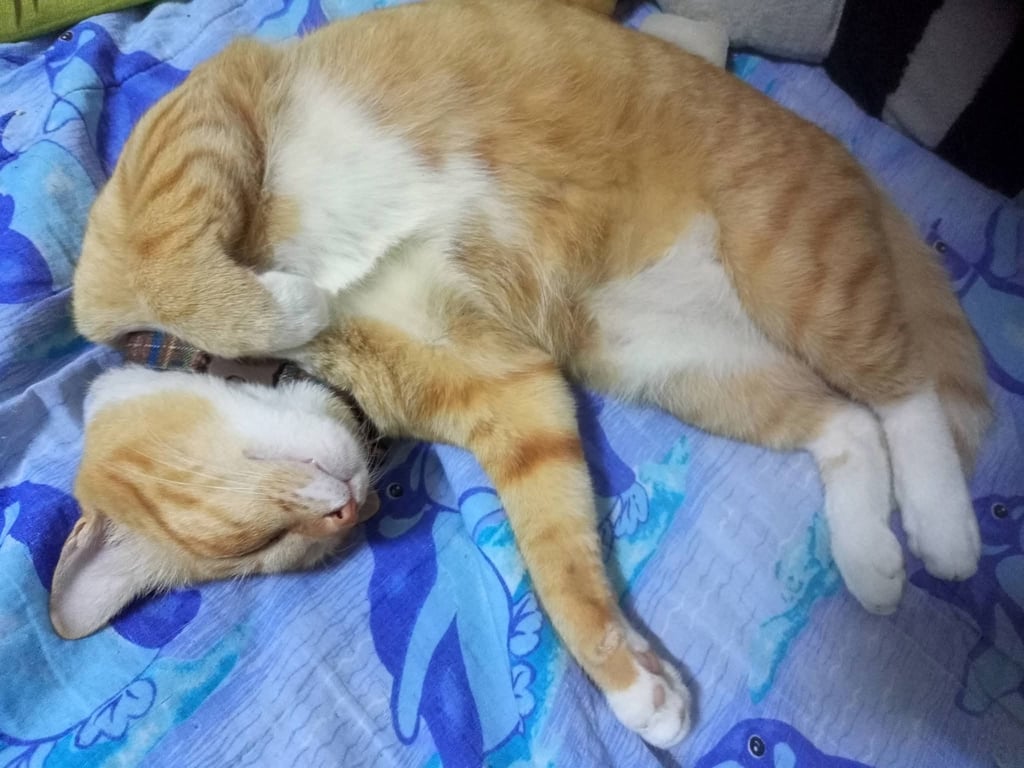 ลัคกี้