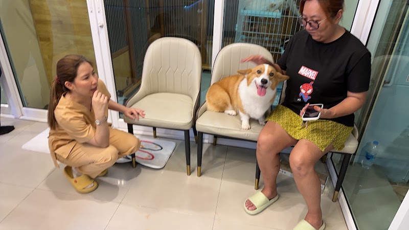 Dreamhouse Pet cares & hospital Saimai (โรงพยาบาลสัตว์ดรีมเฮาส์ สาขาสายไหม)