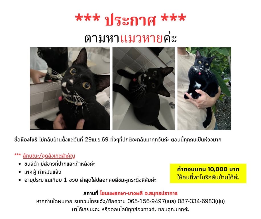 โนริ