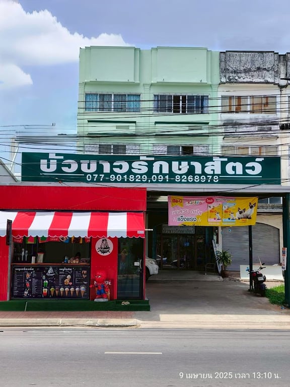 บัวขาวรักษาสัตว์