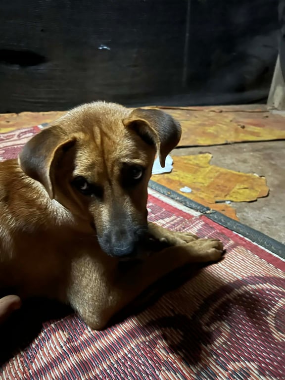 รวยๆ