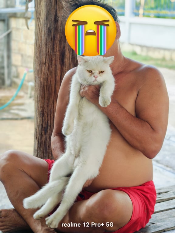 เฮง เฮง