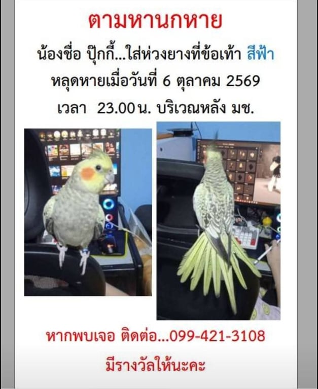ปุ๊กกี้