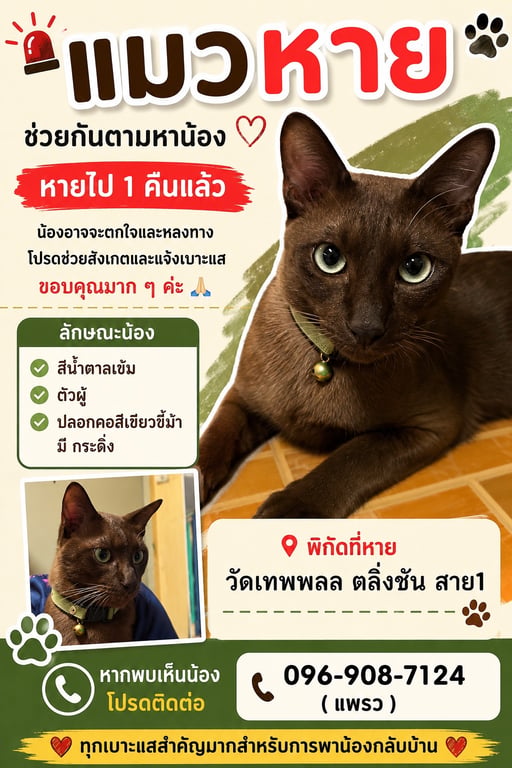 น้ำขิง