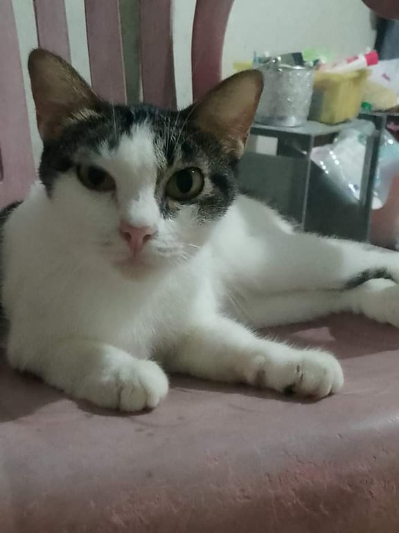 มันนี่