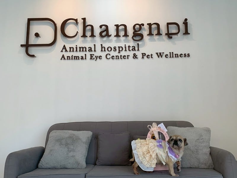 โรงพยาบาลสัตว์ช้างน้อย : ศูนย์โรคตาสัตว์เลี้ยง Changnoi Animal Hospital : Animal Eye Center & Pet Wellness