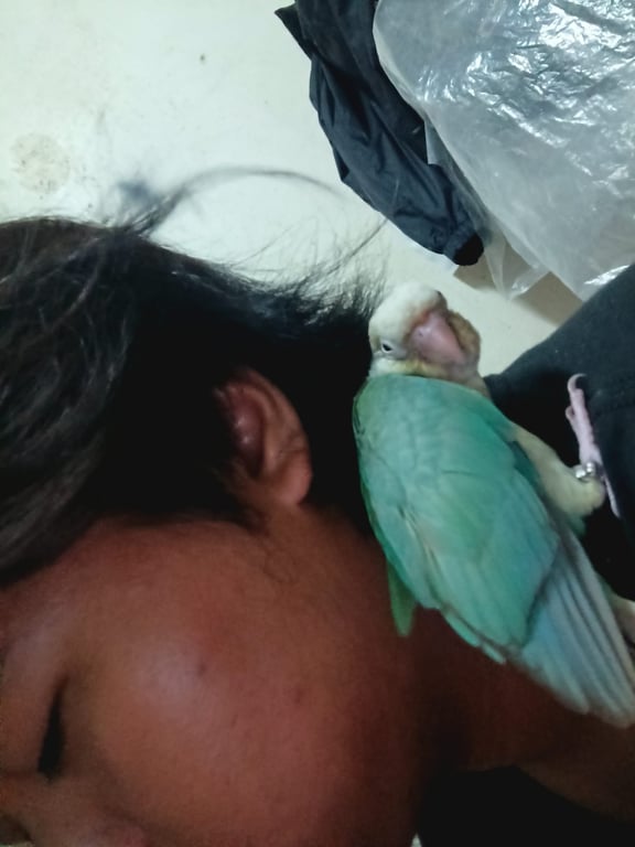 อันด่