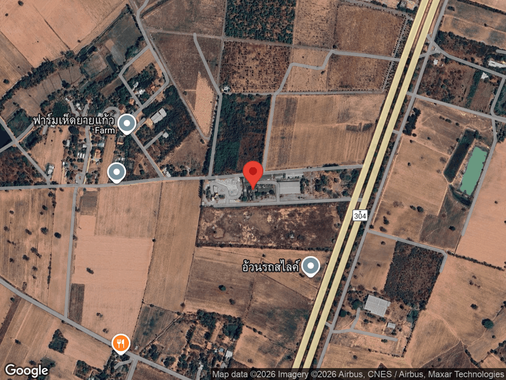 สถานที่หายของเสือ