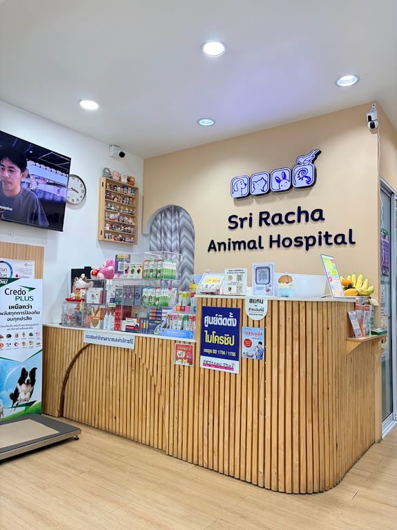 โรงพยาบาลสัตว์ศรีราชา (Sri - Racha Animal Hospital)