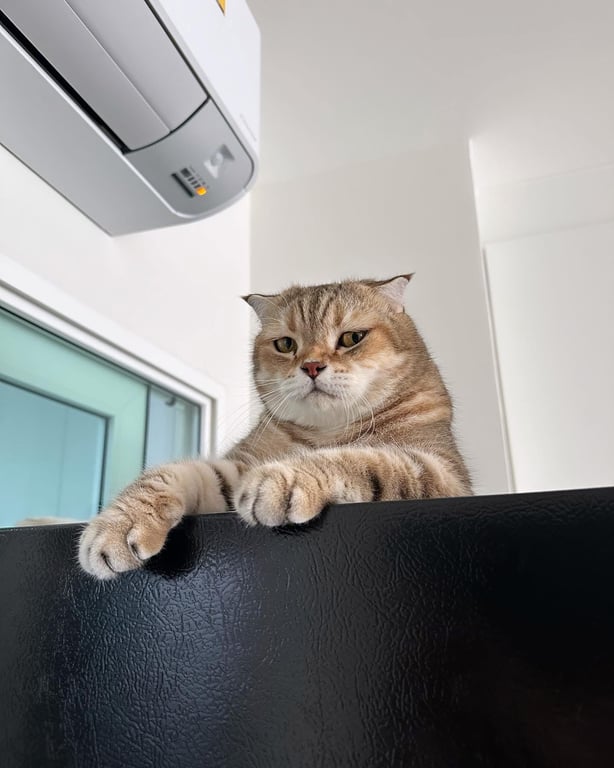 ทุเรียน