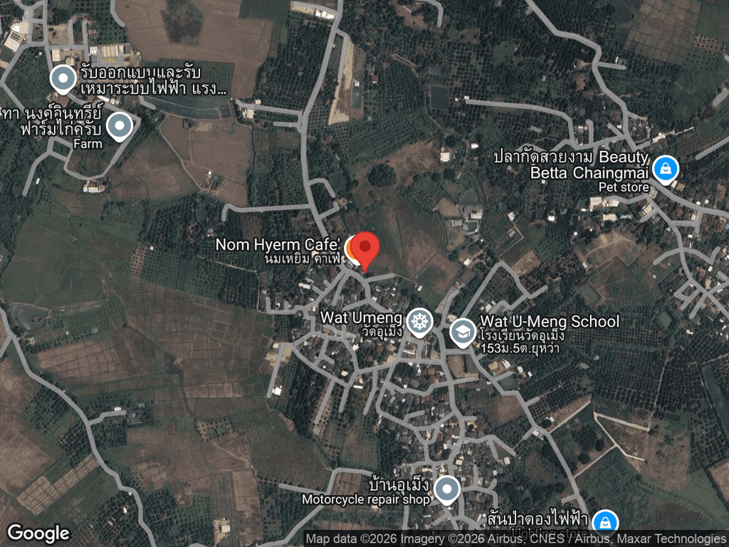 สถานที่หายของเดซี่