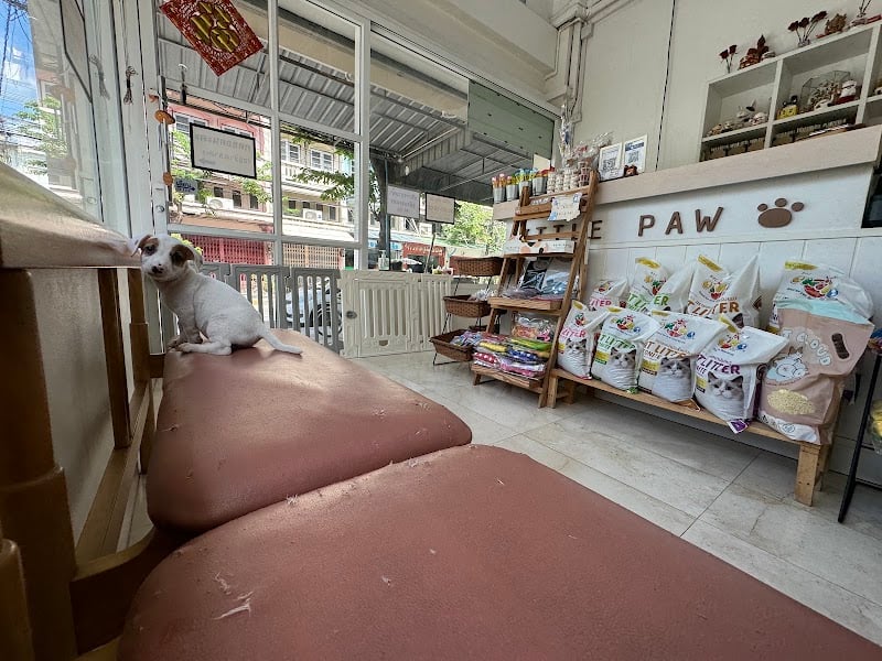 คลินิกสัตว์เลี้ยง ลิตเติ้ล พอว์ Little Paw Pet Clinic