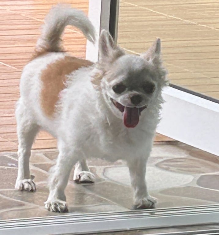 ้เตี๋ยว