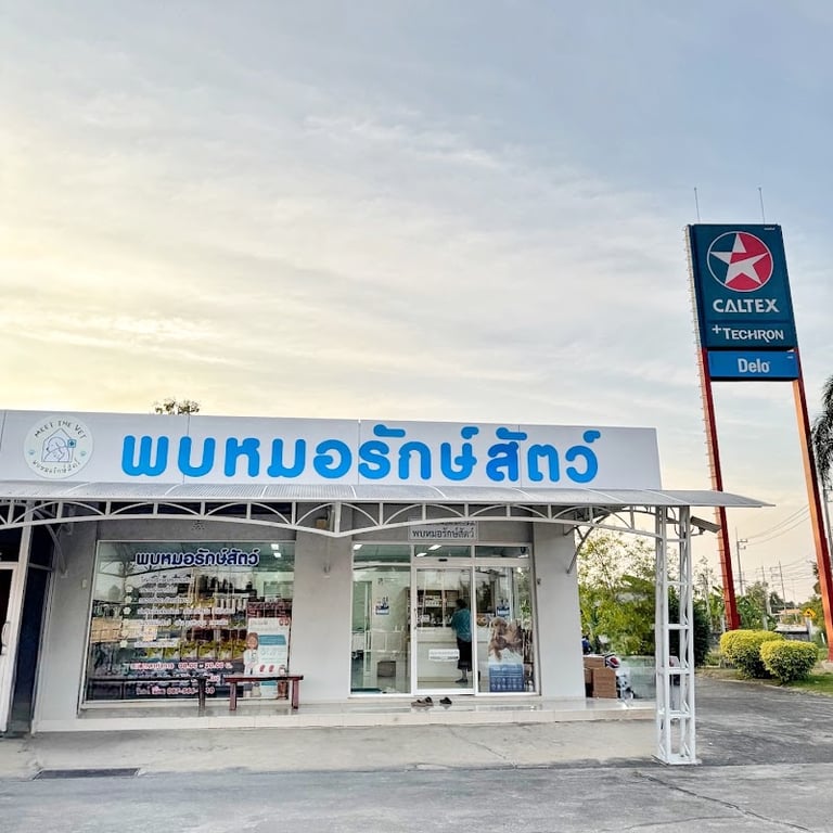 พบหมอรักษ์สัตว์ (Meet the vet clinic) - คลินิกรักษาสัตว์