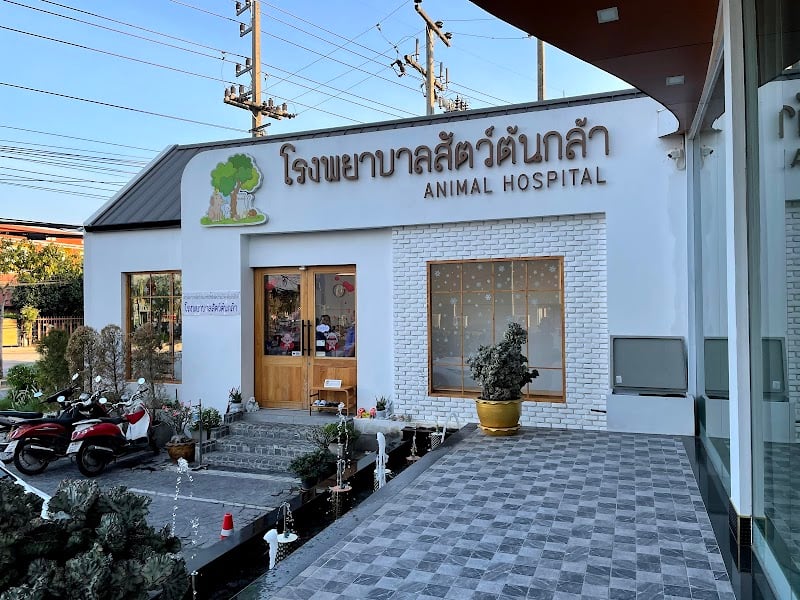 โรงพยาบาลสัตว์ต้นกล้า โคราช - รักษาสัตว์