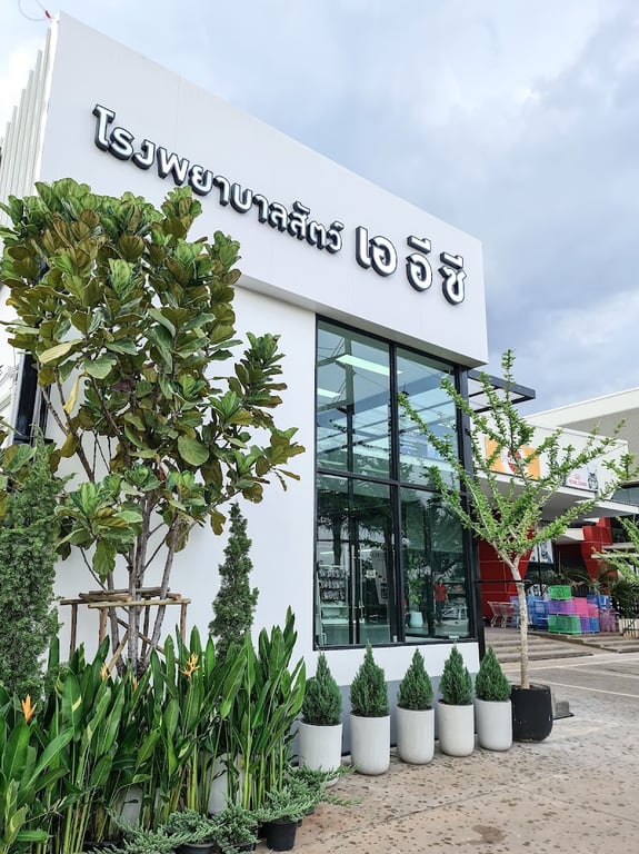 โรงพยาบาลสัตว์ เอ อี ซี หนองคาย AEC PET HOSPITAL NONG KHAI
