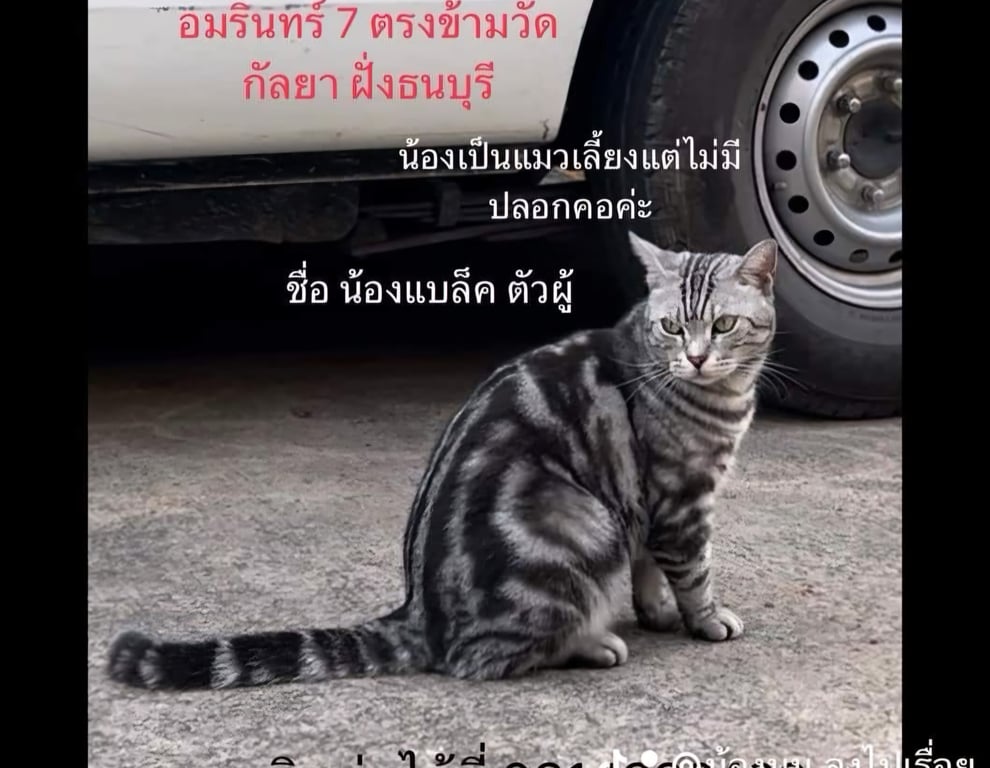 แบล็ก