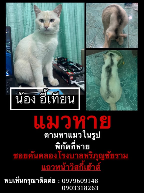 อี้เทียน