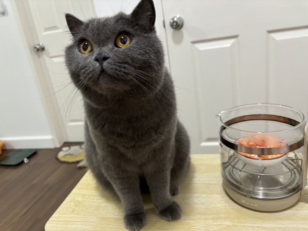 Mimi