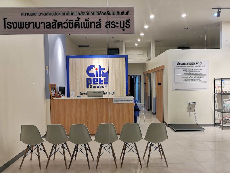 โรงพยาบาลสัตว์ซิตี้เพ็ทส์ สระบุรี