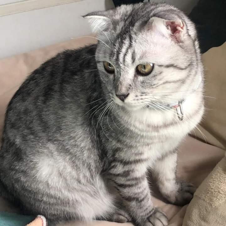 นาร่า