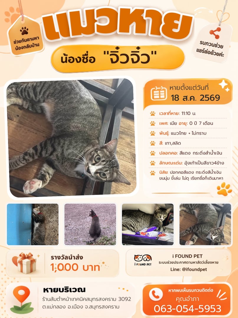 จิ๋วจิ๋ว