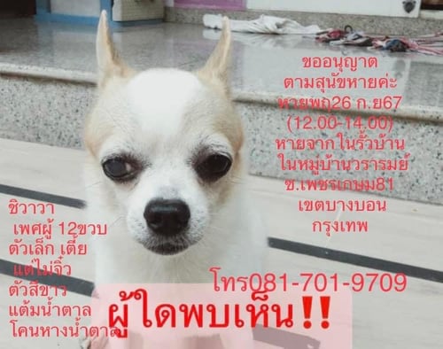 ก๊อง