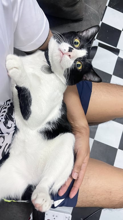 ยูโร