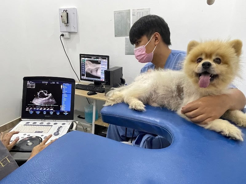102 Pet Friends Animal Hospital - โรงพยาบาลสัตว์ 102 เพ็ท เฟรนด์