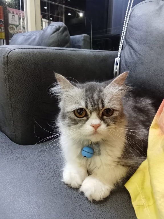 มันนี่